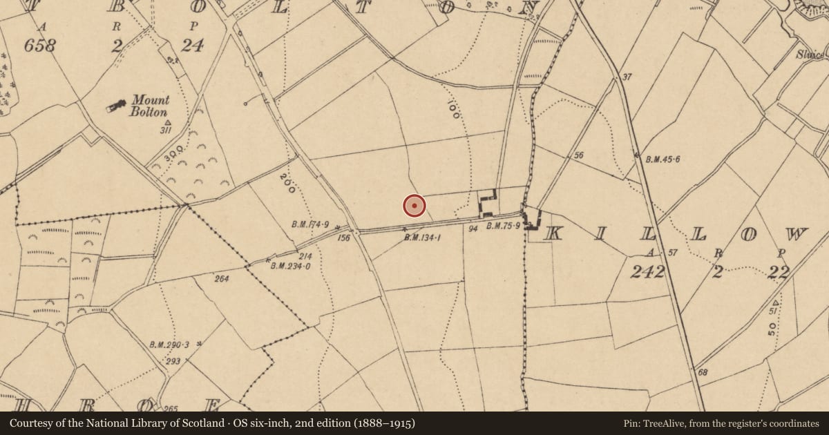 Ordnance Survey six-inch map, 2nd edition (1888–1915) covering the location of Hearth, Mountbolton, County Waterford, with a pin at the register's coordinates