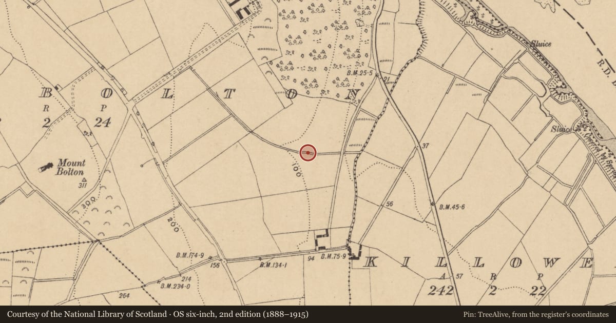 Ordnance Survey six-inch map, 2nd edition (1888–1915) covering the location of Burnt mound, Mountbolton, County Waterford, with a pin at the register's coordinates