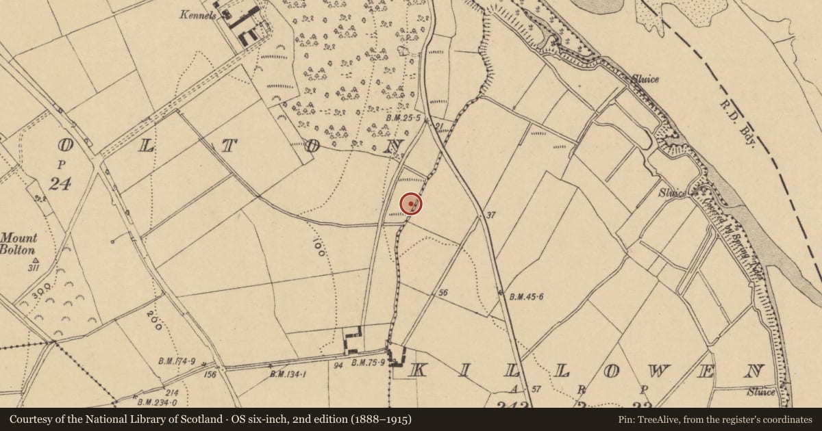 Ordnance Survey six-inch map, 2nd edition (1888–1915) covering the location of Burnt mound, Mountbolton, County Waterford, with a pin at the register's coordinates