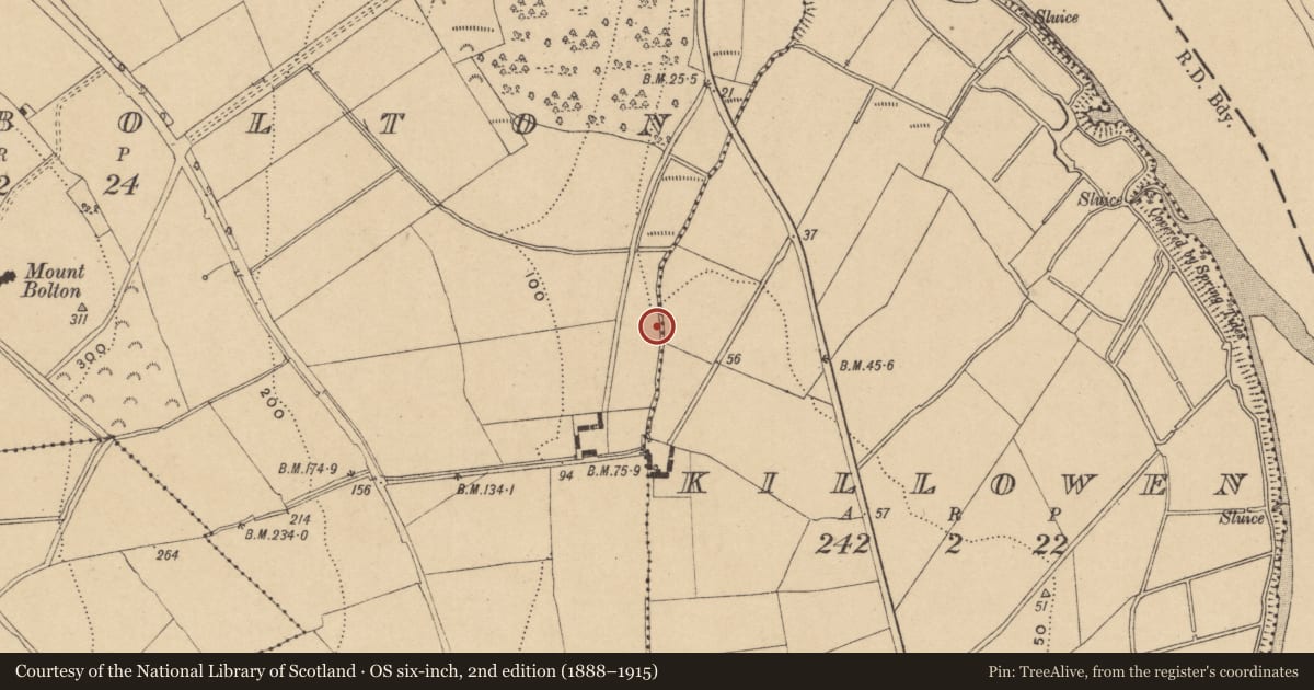 Ordnance Survey six-inch map, 2nd edition (1888–1915) covering the location of Burnt mound, Mountbolton, County Waterford, with a pin at the register's coordinates