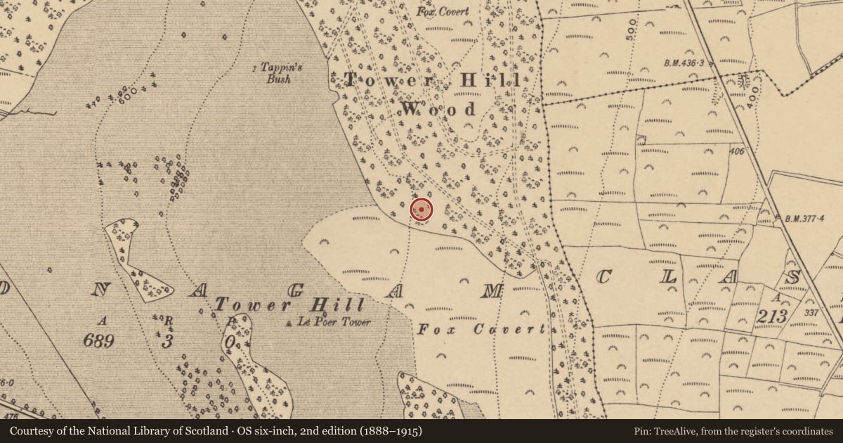 Ordnance Survey six-inch map, 2nd edition (1888–1915) covering the location of Architectural fragment, Clonagam, County Waterford, with a pin at the register's coordinates