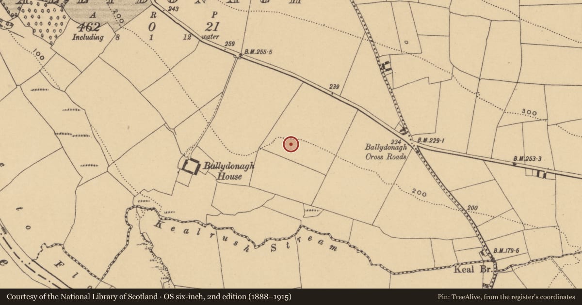 Ordnance Survey six-inch map, 2nd edition (1888–1915) covering the location of Burial ground, Ballydonagh, County Waterford, with a pin at the register's coordinates