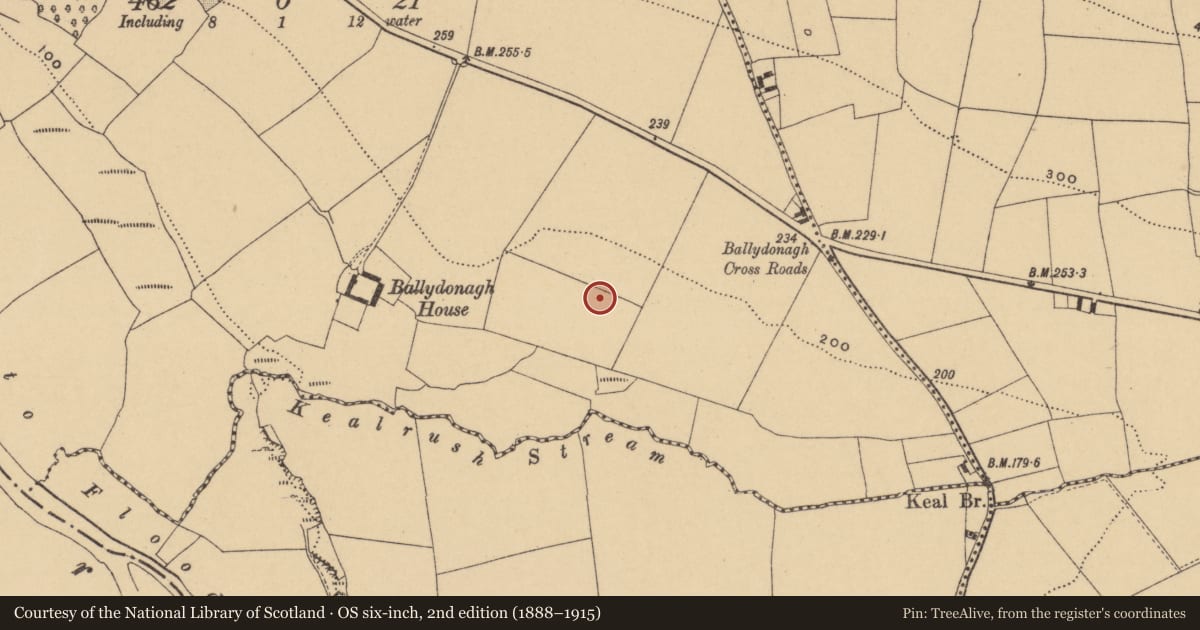 Ordnance Survey six-inch map, 2nd edition (1888–1915) covering the location of Enclosure - large enclosure, Ballydonagh, County Waterford, with a pin at the register's coordinates
