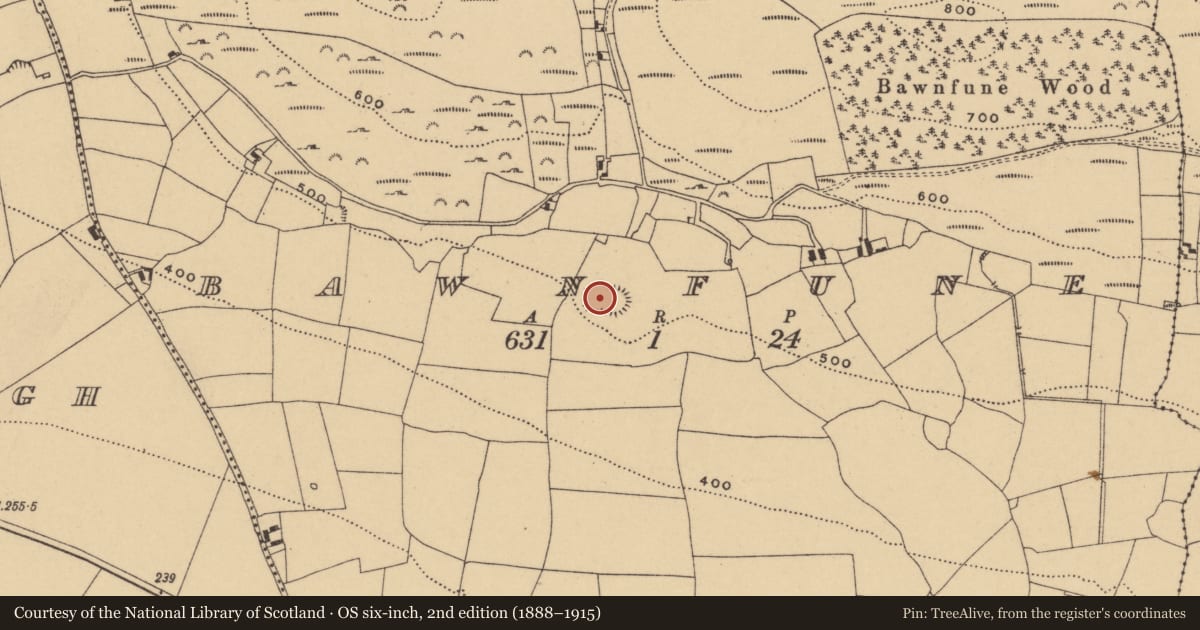 Ordnance Survey six-inch map, 2nd edition (1888–1915) covering the location of Church, Bawnfune, County Waterford, with a pin at the register's coordinates