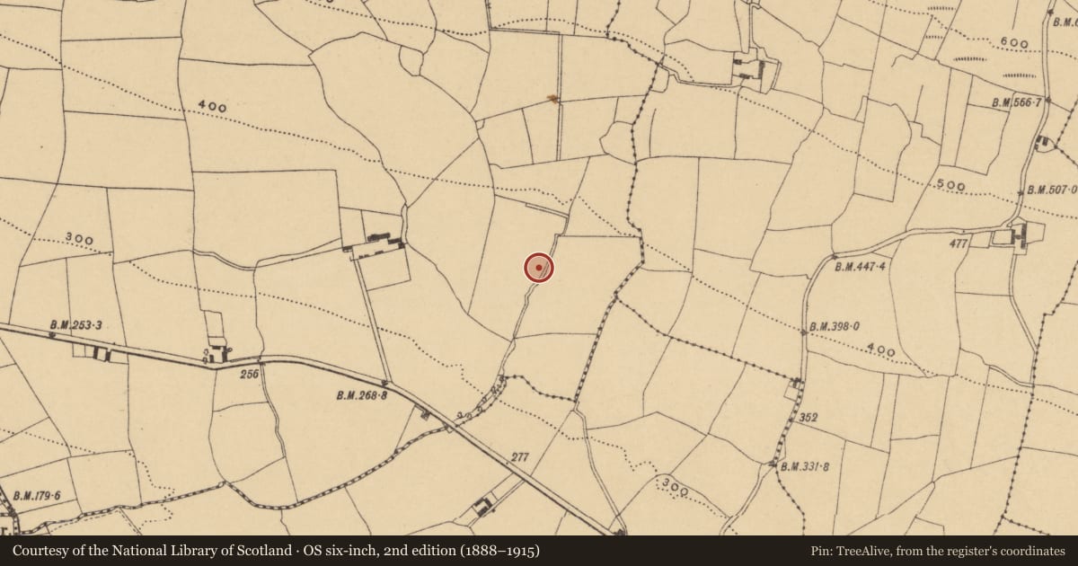 Ordnance Survey six-inch map, 2nd edition (1888–1915) covering the location of Well, Bawnfune, County Waterford, with a pin at the register's coordinates