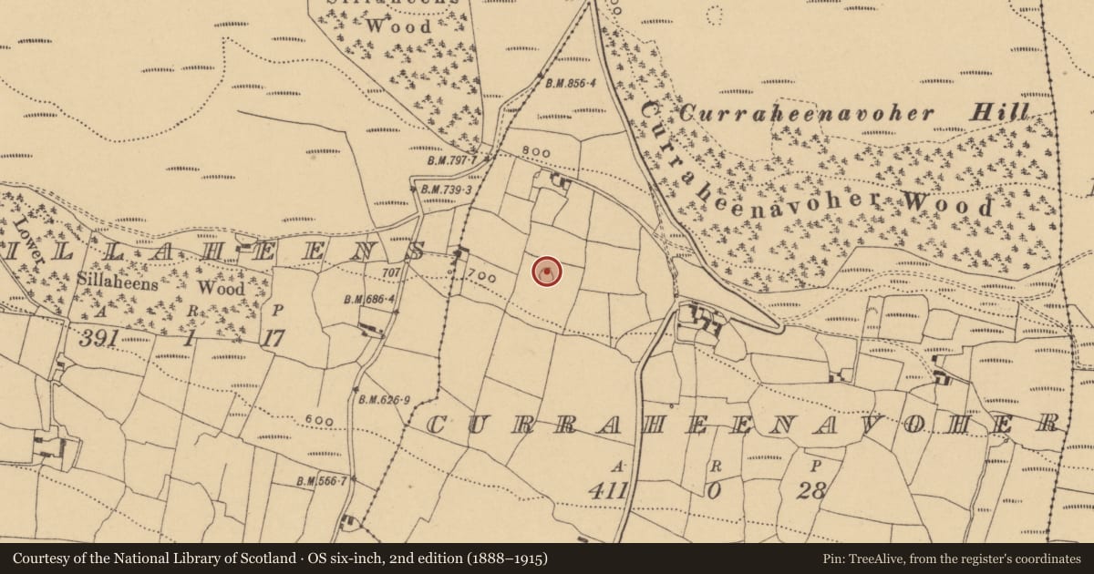 Ordnance Survey six-inch map, 2nd edition (1888–1915) covering the location of Enclosure, Curraheenavoher, County Waterford, with a pin at the register's coordinates