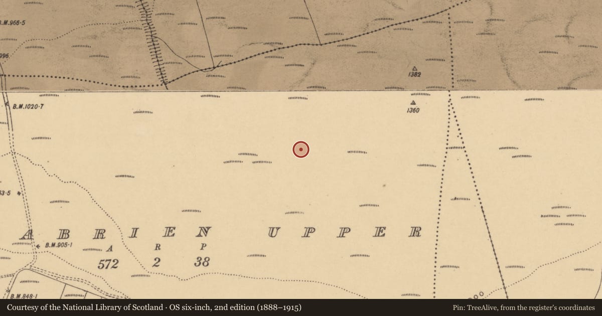Ordnance Survey six-inch map, 2nd edition (1888–1915) covering the location of Enclosure, Boolabrien Upper, County Waterford, with a pin at the register's coordinates