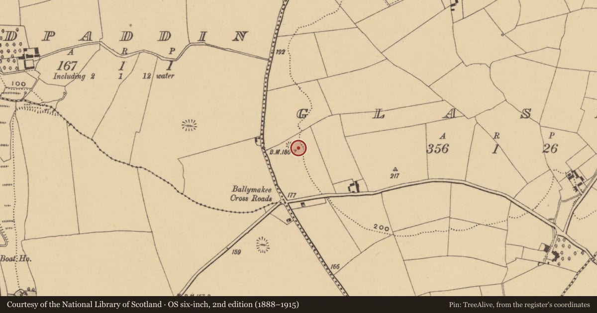 Ordnance Survey six-inch map, 2nd edition (1888–1915) covering the location of Enclosure, Glasha, County Waterford, with a pin at the register's coordinates