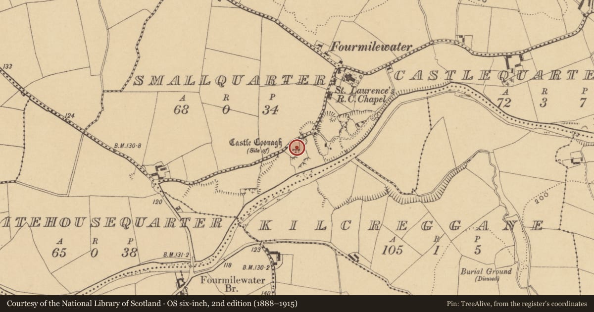 Ordnance Survey six-inch map, 2nd edition (1888–1915) covering the location of Castle - tower house, Castlequarter, County Waterford, with a pin at the register's coordinates