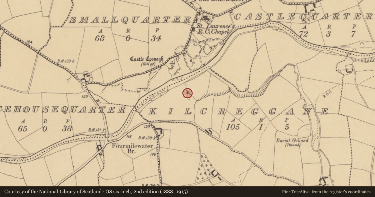 Ordnance Survey six-inch map, 2nd edition (1888–1915) covering the location of Ringfort - unclassified, Kilcreggane, County Waterford, with a pin at the register's coordinates