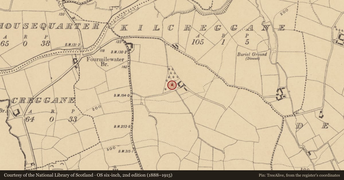 Ordnance Survey six-inch map, 2nd edition (1888–1915) covering the location of Ogham stone (present location), Tooracurragh, County Waterford, with a pin at the register's coordinates