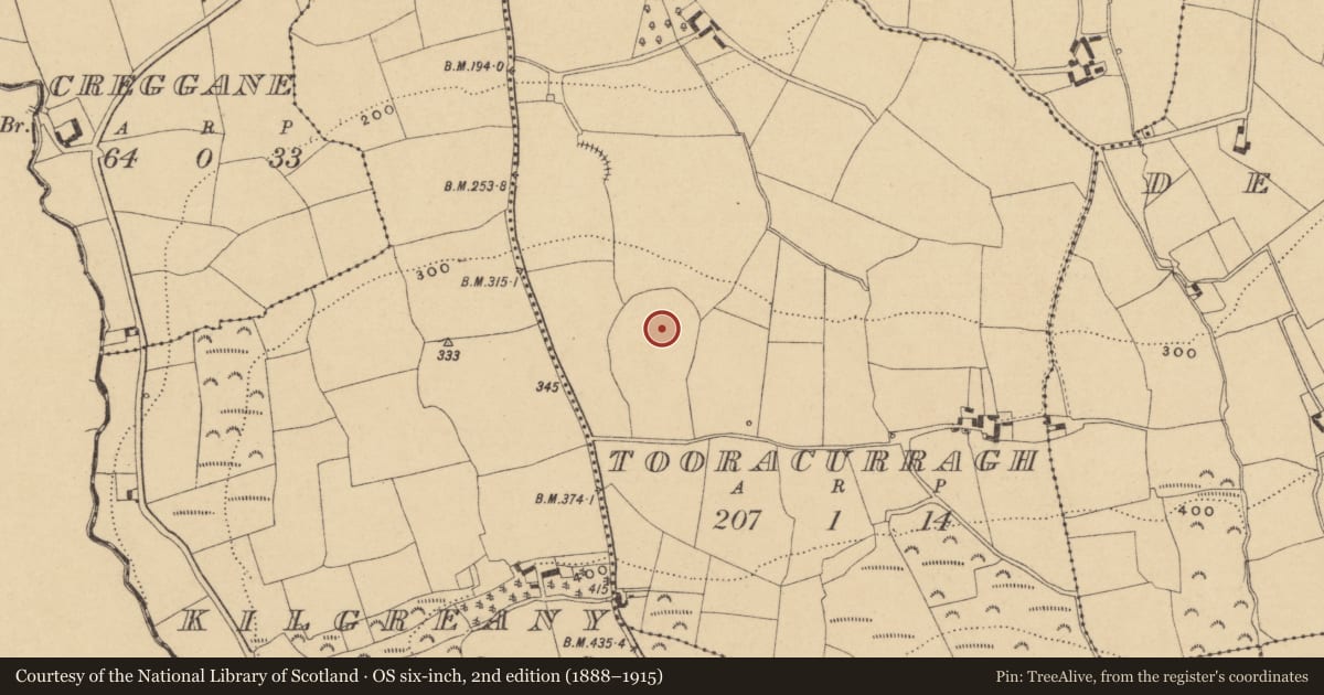 Ordnance Survey six-inch map, 2nd edition (1888–1915) covering the location of Ogham stone, Tooracurragh, County Waterford, with a pin at the register's coordinates