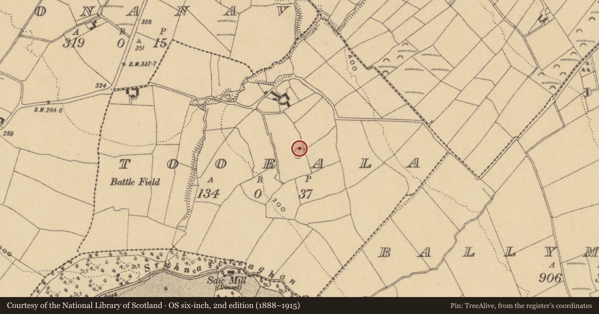 Ordnance Survey six-inch map, 2nd edition (1888–1915) covering the location of Ringfort - rath, Toorala, County Waterford, with a pin at the register's coordinates