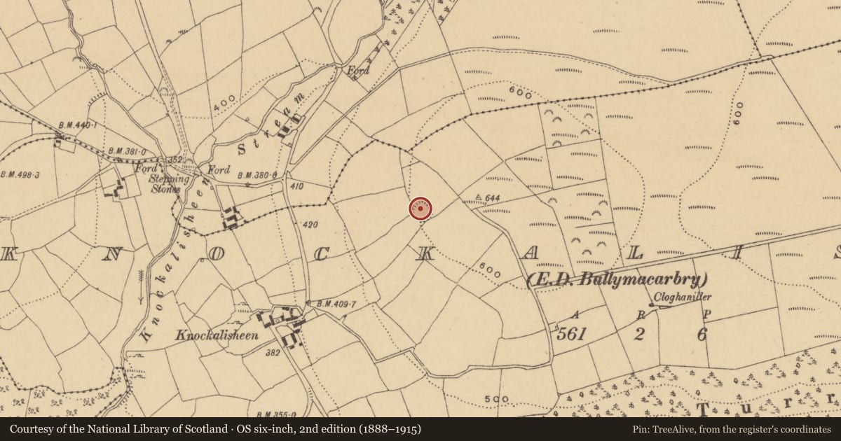 Ordnance Survey six-inch map, 2nd edition (1888–1915) covering the location of Ringfort - rath, Knockalisheen, County Waterford, with a pin at the register's coordinates