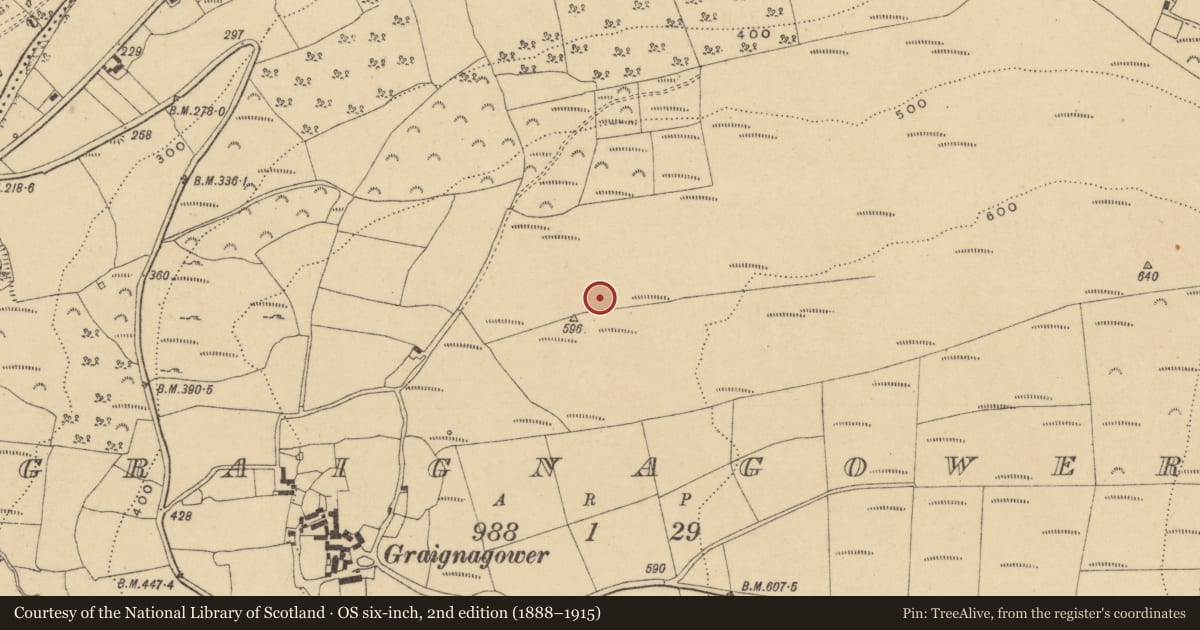 Ordnance Survey six-inch map, 2nd edition (1888–1915) covering the location of Field system, Graignagower, County Waterford, with a pin at the register's coordinates