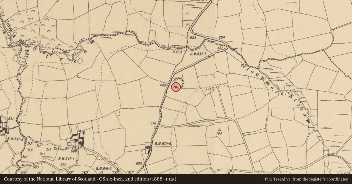 Ordnance Survey six-inch map, 2nd edition (1888–1915) covering the location of Ringfort - unclassified, Knockavannia, County Waterford, with a pin at the register's coordinates