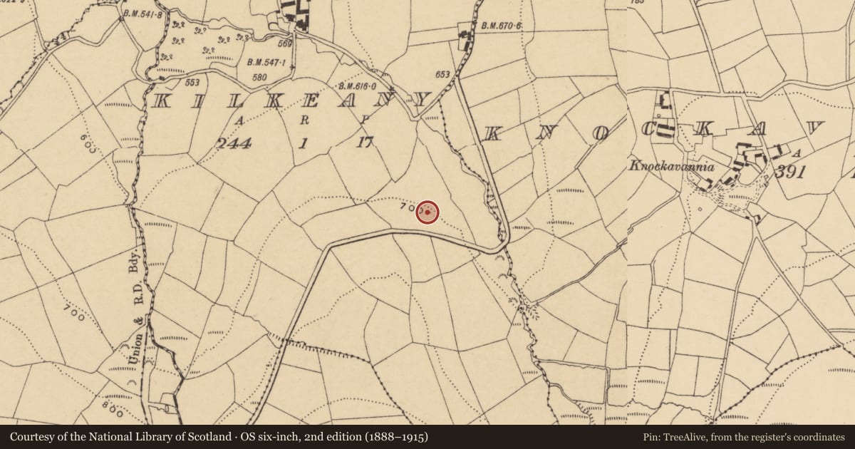Ordnance Survey six-inch map, 2nd edition (1888–1915) covering the location of Enclosure, Kilkeany, County Waterford, with a pin at the register's coordinates