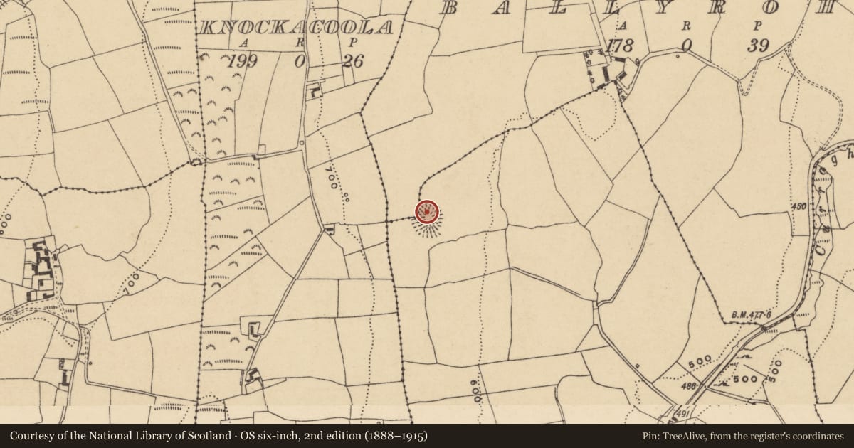Ordnance Survey six-inch map, 2nd edition (1888–1915) covering the location of Ringfort - rath, Toorreagh, County Waterford, with a pin at the register's coordinates