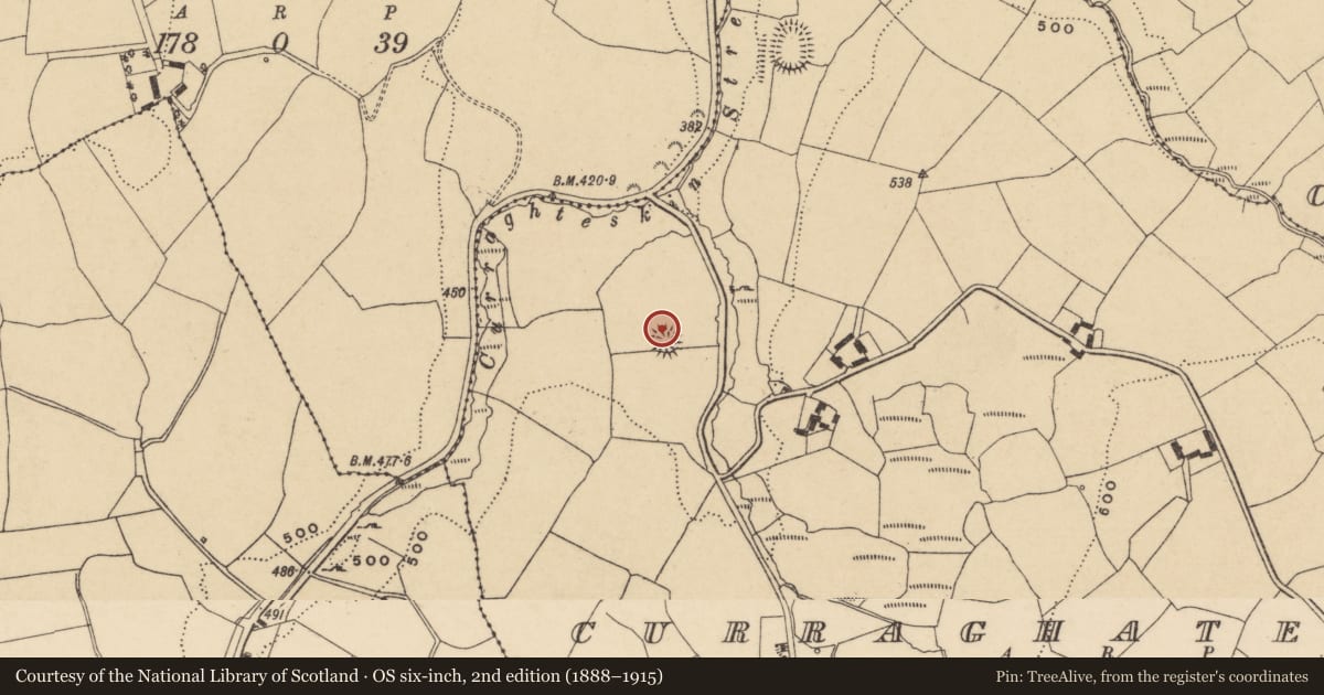 Ordnance Survey six-inch map, 2nd edition (1888–1915) covering the location of Ringfort - rath, Curraghateskin, County Waterford, with a pin at the register's coordinates