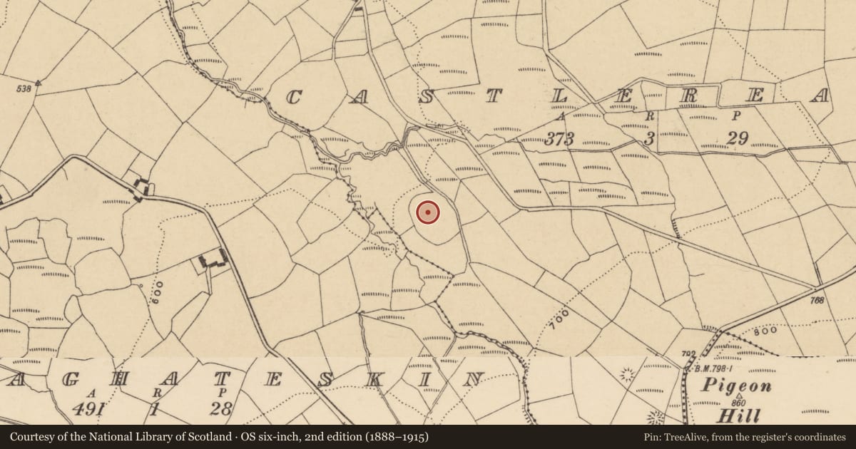 Ordnance Survey six-inch map, 2nd edition (1888–1915) covering the location of Enclosure - large enclosure, Castlereagh, County Waterford, with a pin at the register's coordinates