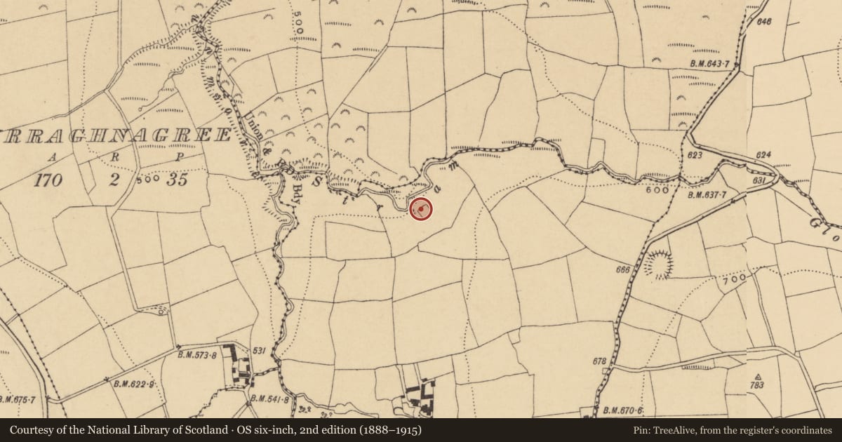 Ordnance Survey six-inch map, 2nd edition (1888–1915) covering the location of Graveyard, Kilkeany, County Waterford, with a pin at the register's coordinates