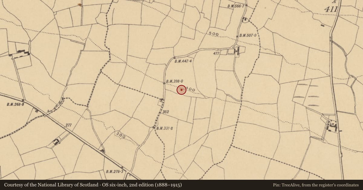 Ordnance Survey six-inch map, 2nd edition (1888–1915) covering the location of Burnt mound, Sillaheens, County Waterford, with a pin at the register's coordinates