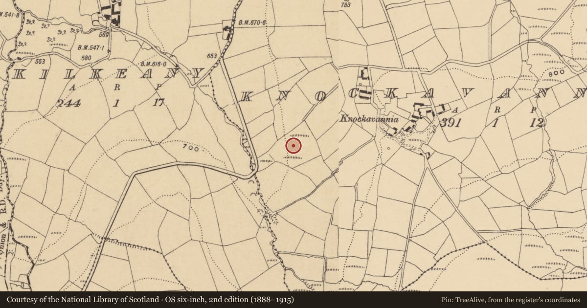 Ordnance Survey six-inch map, 2nd edition (1888–1915) covering the location of Burnt mound, Knockavannia, County Waterford, with a pin at the register's coordinates