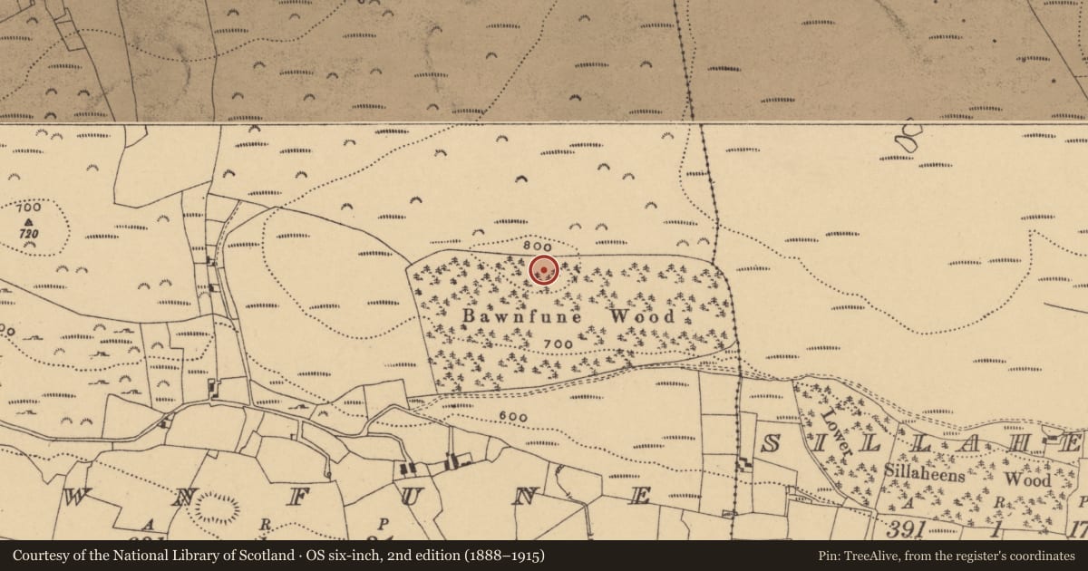 Ordnance Survey six-inch map, 2nd edition (1888–1915) covering the location of Cairn - unclassified, Bawnfune, County Waterford, with a pin at the register's coordinates