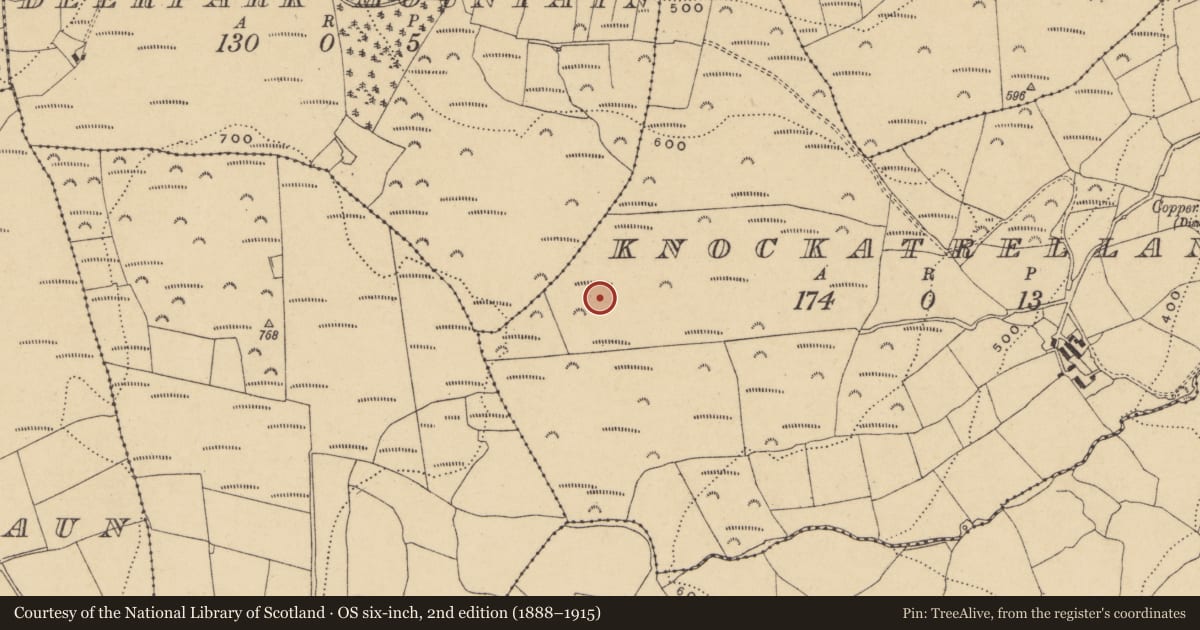 Ordnance Survey six-inch map, 2nd edition (1888–1915) covering the location of Standing stone, Knockatrellane, County Waterford, with a pin at the register's coordinates