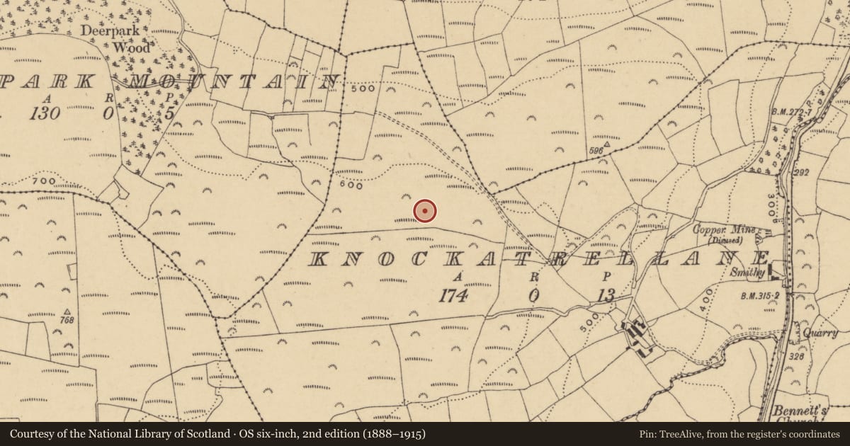 Ordnance Survey six-inch map, 2nd edition (1888–1915) covering the location of Hilltop enclosure, Knockatrellane, County Waterford, with a pin at the register's coordinates