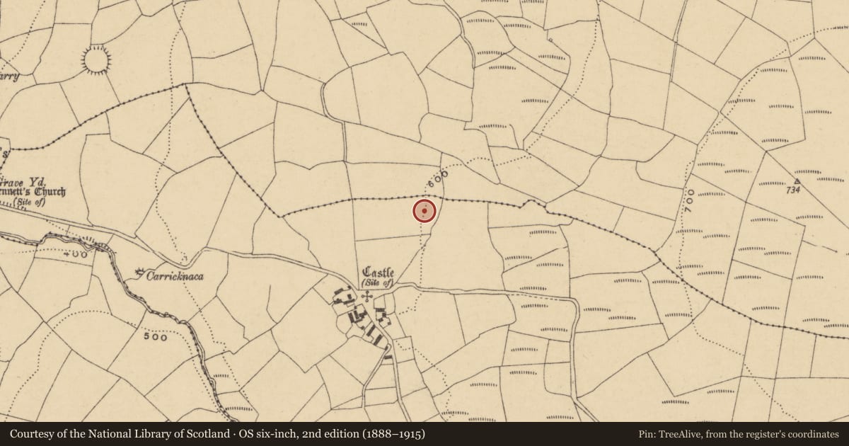 Ordnance Survey six-inch map, 2nd edition (1888–1915) covering the location of Standing stone, Castlereagh, County Waterford, with a pin at the register's coordinates