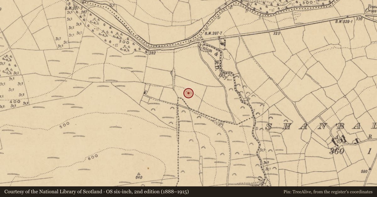 Ordnance Survey six-inch map, 2nd edition (1888–1915) covering the location of Standing stone, Graignagower, County Waterford, with a pin at the register's coordinates