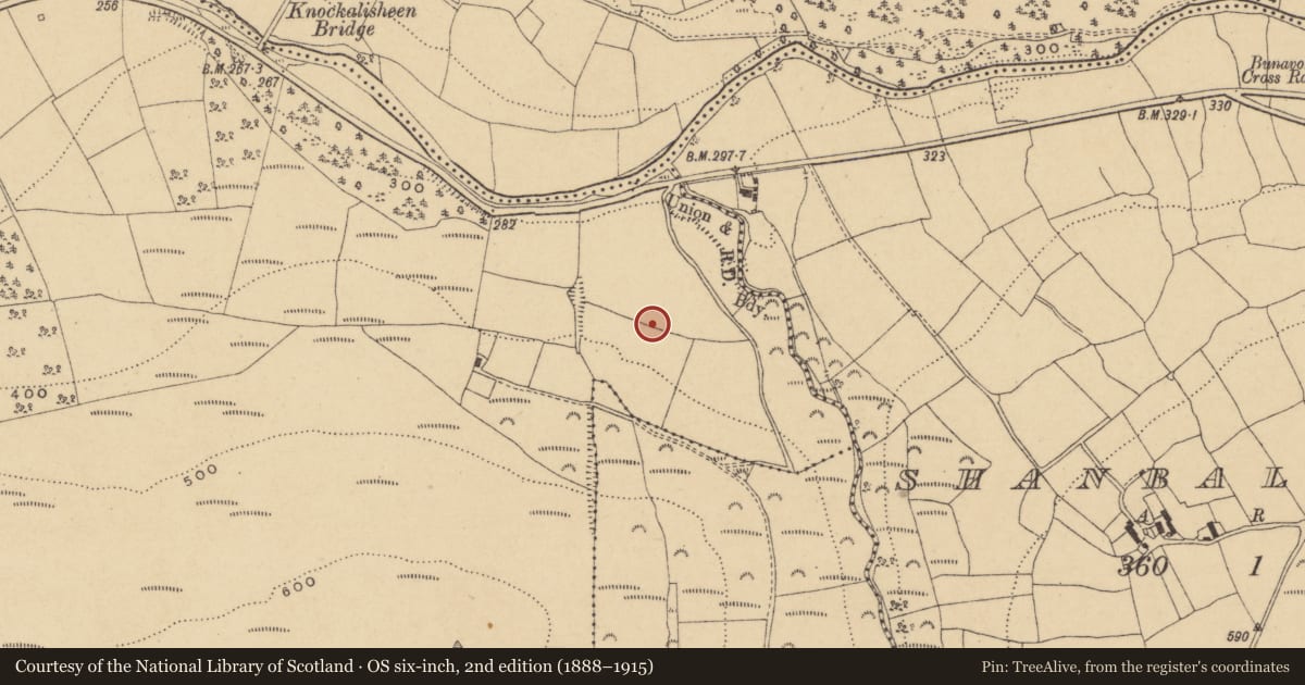 Ordnance Survey six-inch map, 2nd edition (1888–1915) covering the location of Bullaun stone, Graignagower, County Waterford, with a pin at the register's coordinates