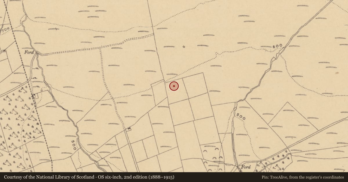 Ordnance Survey six-inch map, 2nd edition (1888–1915) covering the location of Standing stone, Knockalisheen, County Waterford, with a pin at the register's coordinates