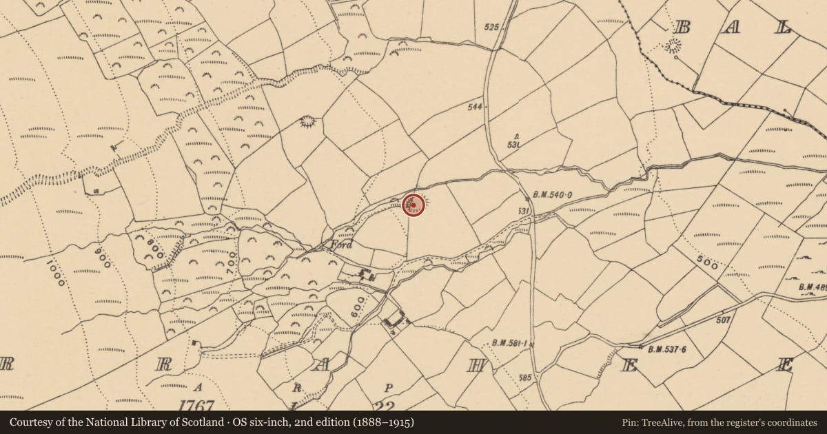 Ordnance Survey six-inch map, 2nd edition (1888–1915) covering the location of Ringfort - rath, Curraheen, County Waterford, with a pin at the register's coordinates