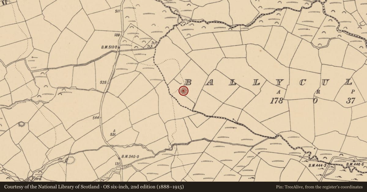 Ordnance Survey six-inch map, 2nd edition (1888–1915) covering the location of Mound, Ballycullane, County Waterford, with a pin at the register's coordinates