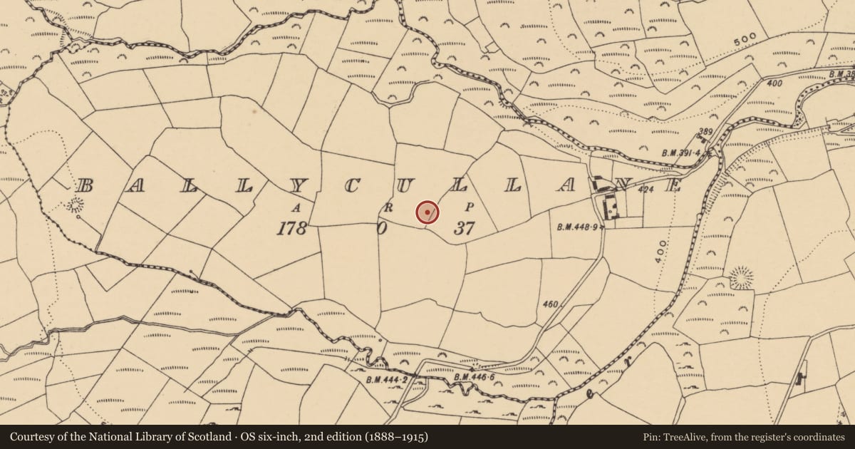 Ordnance Survey six-inch map, 2nd edition (1888–1915) covering the location of Ringfort - unclassified, Ballycullane, County Waterford, with a pin at the register's coordinates