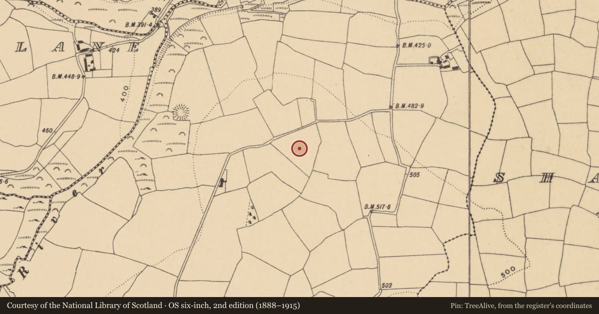 Ordnance Survey six-inch map, 2nd edition (1888–1915) covering the location of Standing stone, Graigavalla, County Waterford, with a pin at the register's coordinates