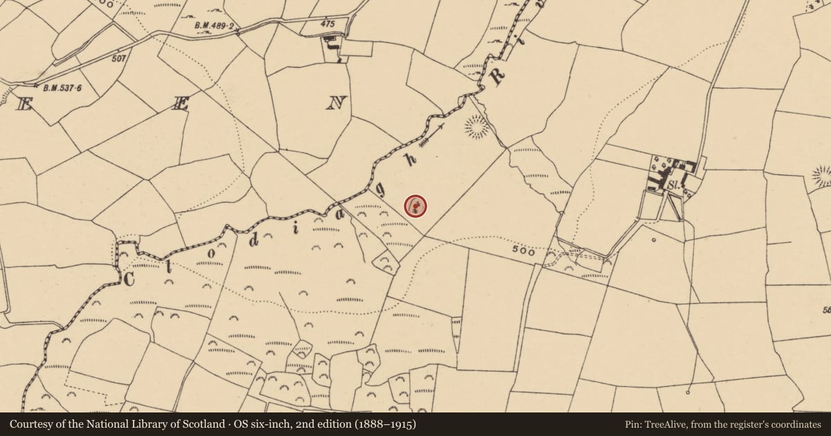 Ordnance Survey six-inch map, 2nd edition (1888–1915) covering the location of Ringfort - rath, Graigavalla, County Waterford, with a pin at the register's coordinates