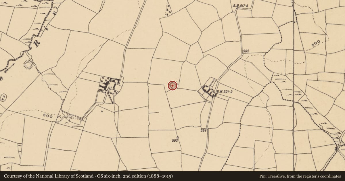 Ordnance Survey six-inch map, 2nd edition (1888–1915) covering the location of Ringfort - rath, Graigavalla, County Waterford, with a pin at the register's coordinates
