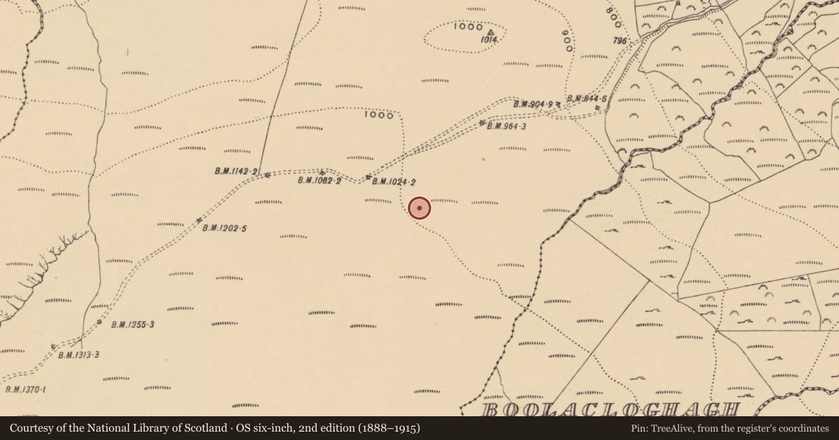 Ordnance Survey six-inch map, 2nd edition (1888–1915) covering the location of Cairnfield, Graigavalla, County Waterford, with a pin at the register's coordinates