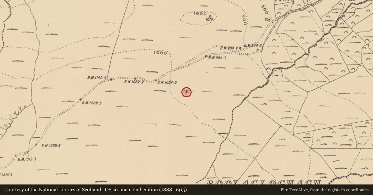 Ordnance Survey six-inch map, 2nd edition (1888–1915) covering the location of Booley hut, Graigavalla, County Waterford, with a pin at the register's coordinates