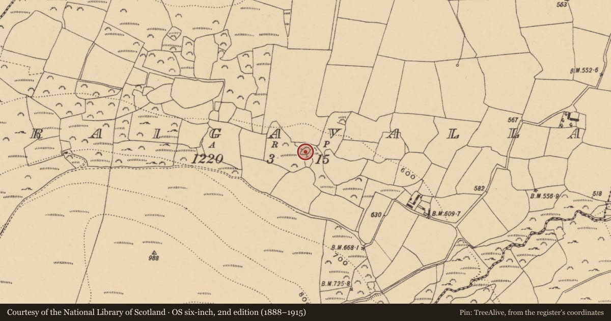 Ordnance Survey six-inch map, 2nd edition (1888–1915) covering the location of Enclosure, Graigavalla, County Waterford, with a pin at the register's coordinates
