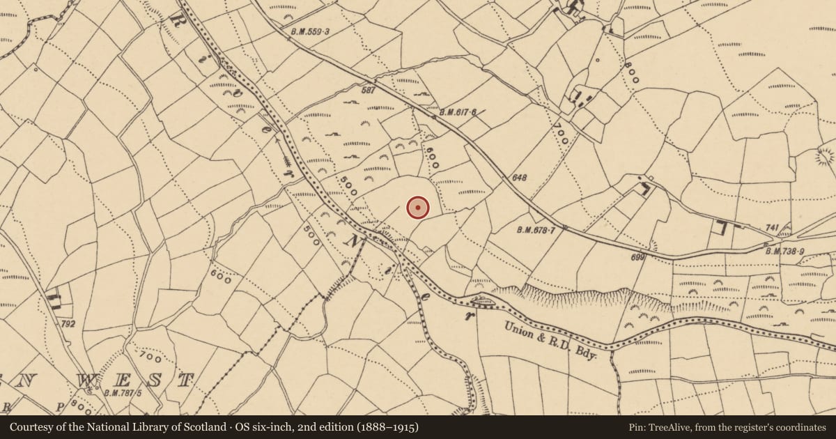 Ordnance Survey six-inch map, 2nd edition (1888–1915) covering the location of Church, Knockanaffrin, County Waterford, with a pin at the register's coordinates