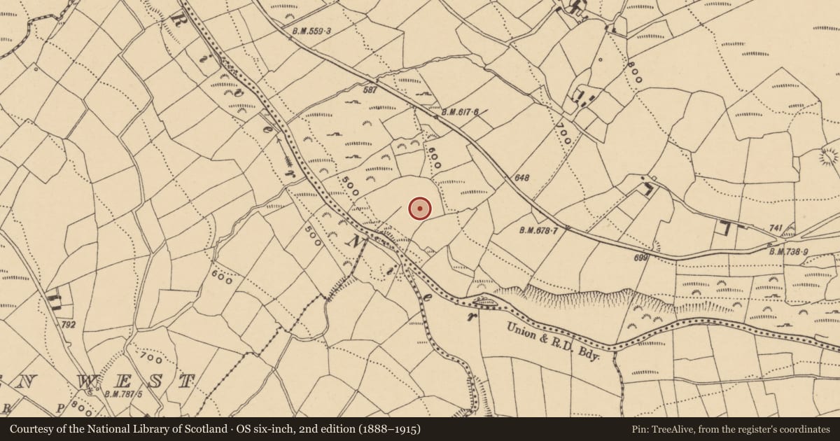 Ordnance Survey six-inch map, 2nd edition (1888–1915) covering the location of Children's burial ground, Knockanaffrin, County Waterford, with a pin at the register's coordinates