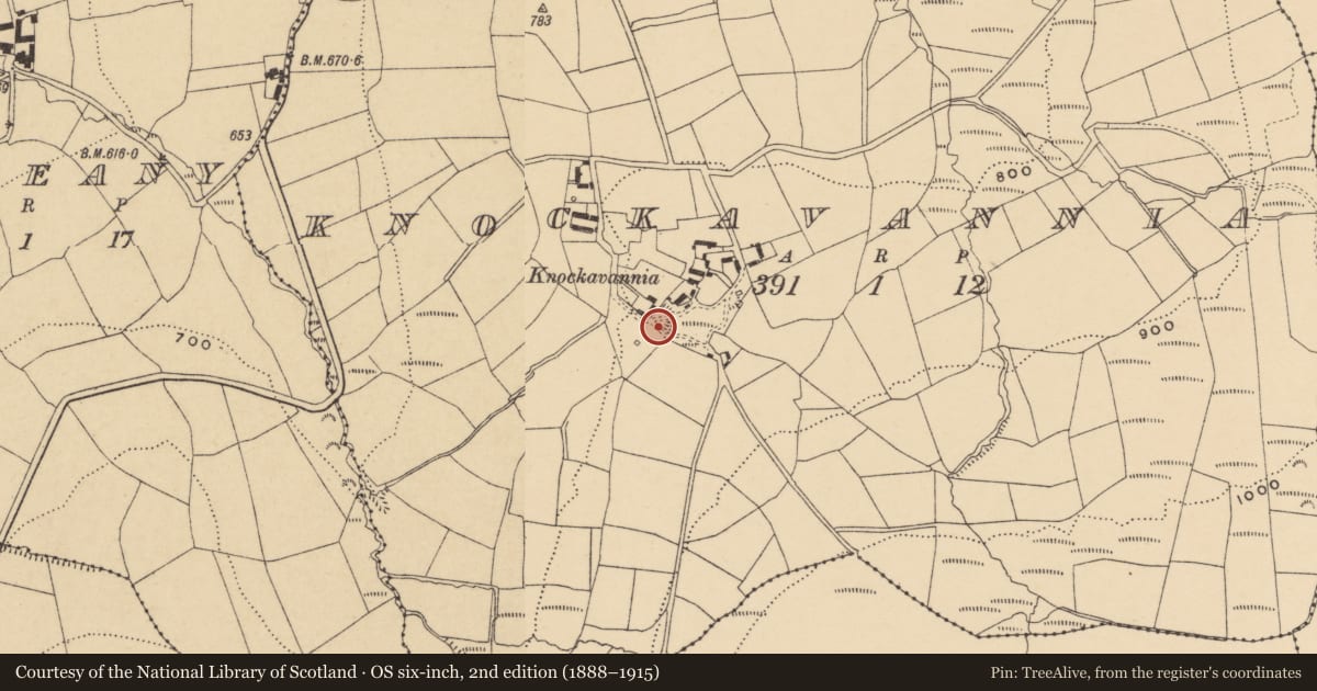 Ordnance Survey six-inch map, 2nd edition (1888–1915) covering the location of Ringfort - unclassified, Knockavannia, County Waterford, with a pin at the register's coordinates