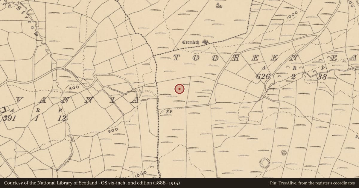Ordnance Survey six-inch map, 2nd edition (1888–1915) covering the location of Stone row, Tooreen East, County Waterford, with a pin at the register's coordinates