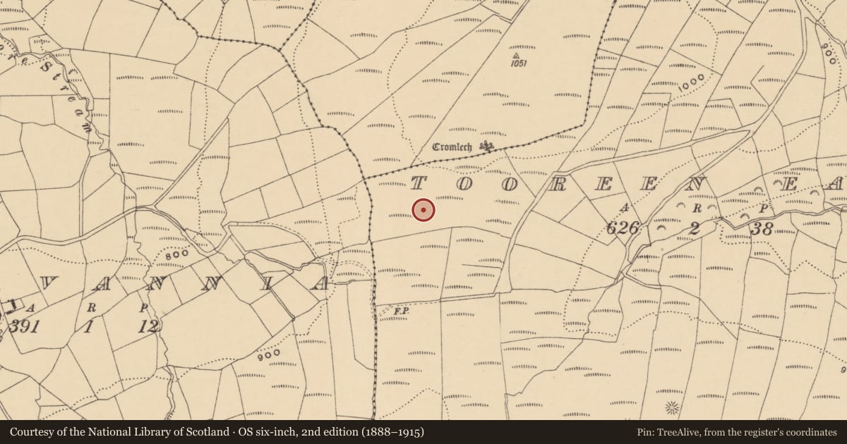 Ordnance Survey six-inch map, 2nd edition (1888–1915) covering the location of Standing stone, Tooreen East, County Waterford, with a pin at the register's coordinates