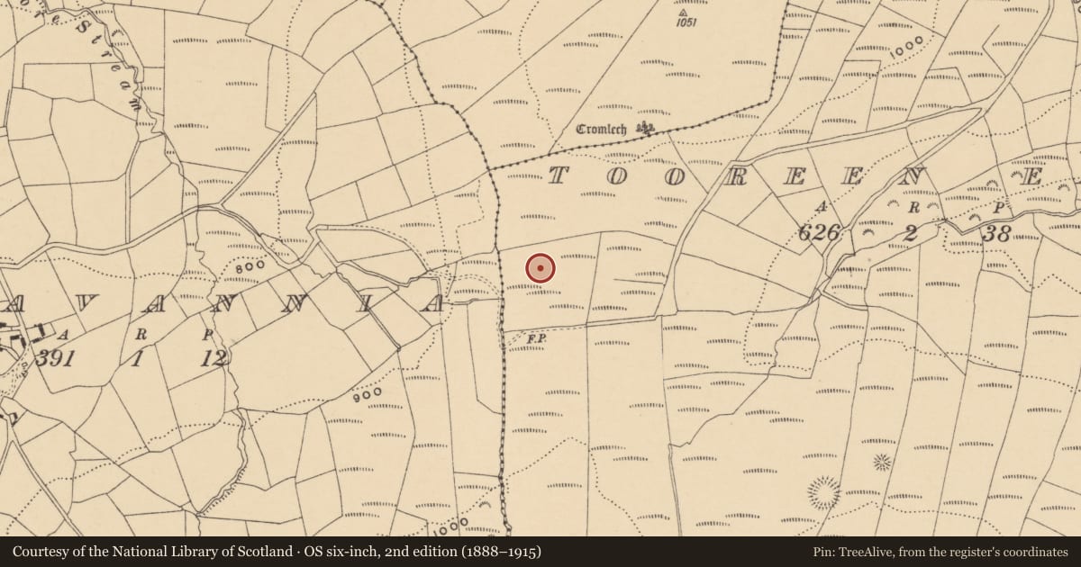 Ordnance Survey six-inch map, 2nd edition (1888–1915) covering the location of Standing stone, Tooreen East, County Waterford, with a pin at the register's coordinates