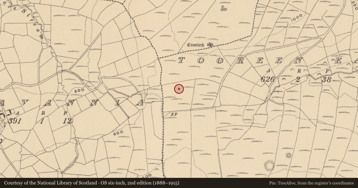 Ordnance Survey six-inch map, 2nd edition (1888–1915) covering the location of Standing stone, Tooreen East, County Waterford, with a pin at the register's coordinates